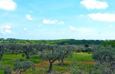 Trullo dueConi - Foto 35