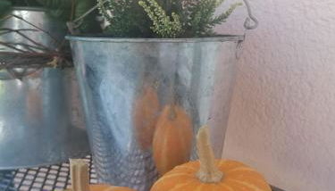 Ferienwohnungen Brack in Gaggenau - Foto 3