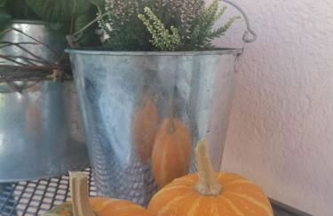 Ferienwohnungen Brack in Gaggenau - Foto 3