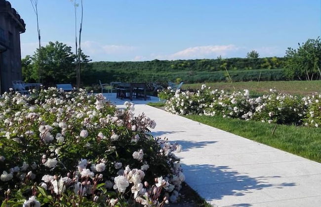 Agriturismo La Borina - Foto 63