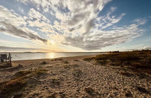 Da Assunta - Foto 37