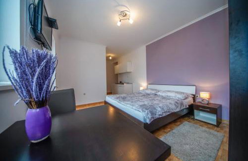 Apartments Ivanka - Photo 34