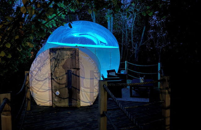 Au domaine du Pré Dieu - Foto 8