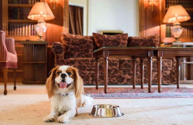 Hôtel du Palais Biarritz, in The Unbound Collection by Hyatt - Photo 3