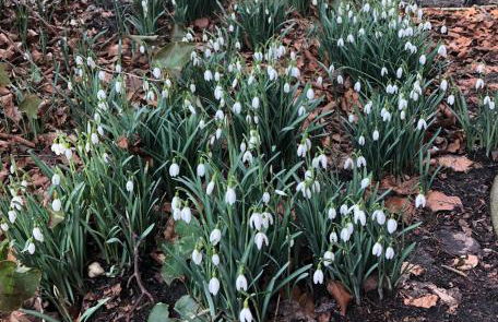 Haus am Reithmoor - Foto 34