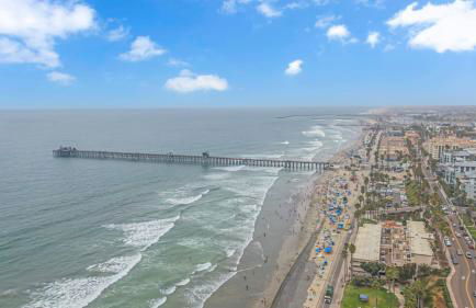 The Shining Sea Crab - Foto 29