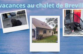 Maison au calme entre Caen et Cabourg - Foto 17