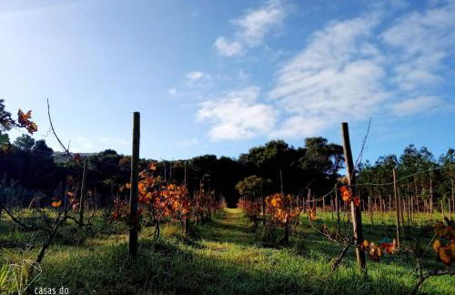 Casas do Morgadio - azorean wine & lodge - Photo 26