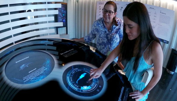 Munba: Museo Nacional de la Ballena - Tour - Foto 5