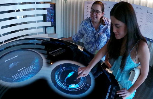 Munba: Museo Nacional de la Ballena - Tour - Foto 5