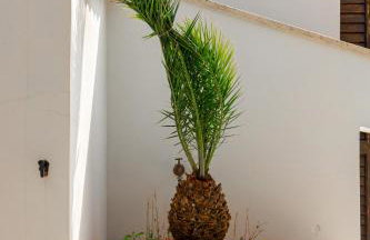 Villa Tocco vicino al mare - Photo 34