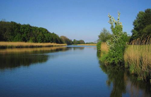 Ferienhaus in Hechthausen mit Terrasse - Foto 68