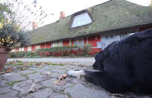 Wegekaten - Ferienwohnungen unter Reet - Foto 72