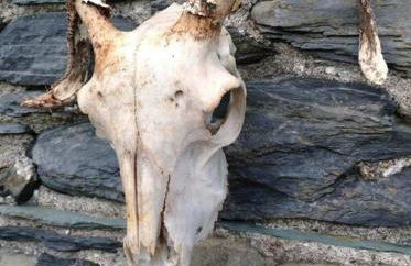 The Hayloft. Entire Barn Conversion near Keswick - Foto 9