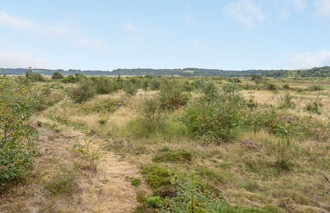 "Waldar" - 900m from the sea - Foto 4