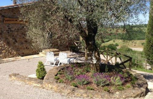 Podere Poggio Benedetto - Foto 17