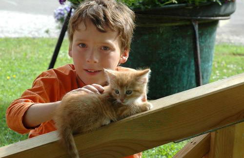 Bio-Ferienhof Scheckenbauer - Foto 30