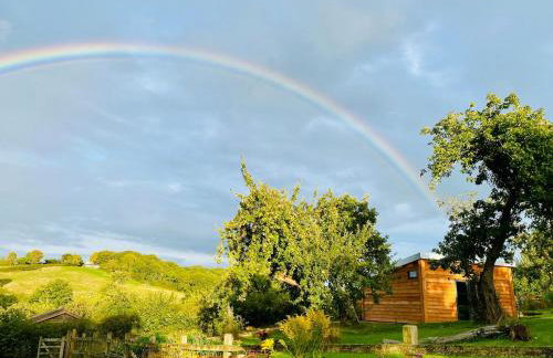 The Apple Shed - cosy cabin nestled in orchard in rural Devon - Foto 20