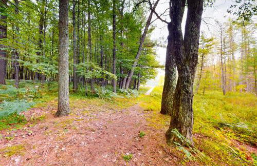 Northwoods Resort - Photo 35