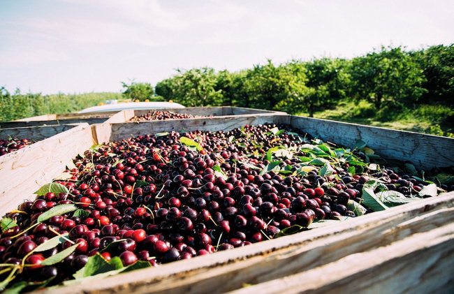 Beautiful 2 Bedroom Condo Stunning Golf Course Views 5166 - Foto 74