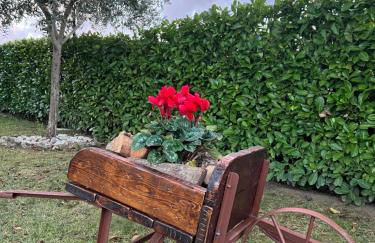 Assisi, la Noce - Foto 16