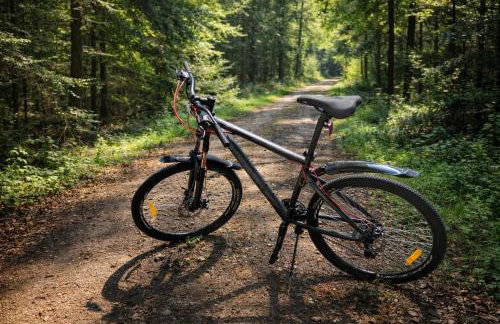 APARTAMENTY & DOMKI Chełmsko Śląskie - Foto 14