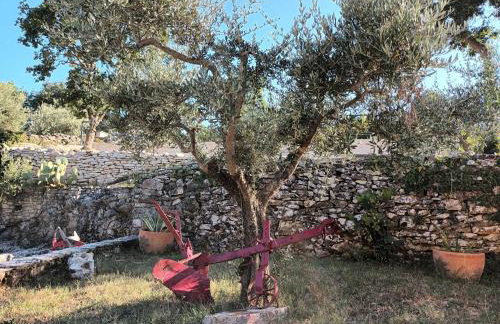 Villa Giovanna - Photo 22