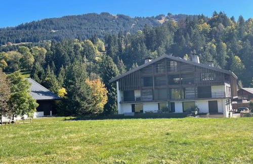 Chalet Esquinade 4 bedrooms appartment Megève - Foto 34