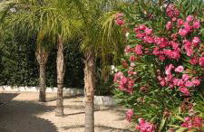 CASA KUQUI - ROMANTIC VILLA - max 6 guests - Foto 16