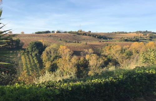Vineyard Farmhouse in Massignano - Foto 30