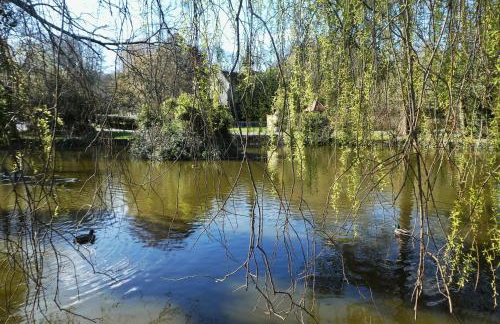 Chestnut Cottage, Shanklin Rural Retreat - Foto 38