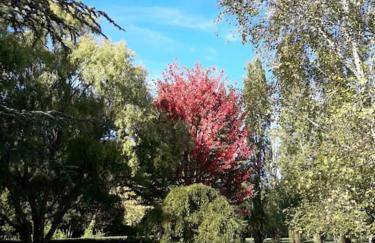 Logis de LANGE apt les Ecureuils - Foto 65