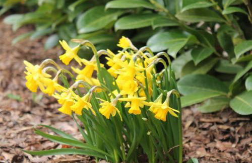 Apartment in Warin in der N he des Glammsees - Foto 22