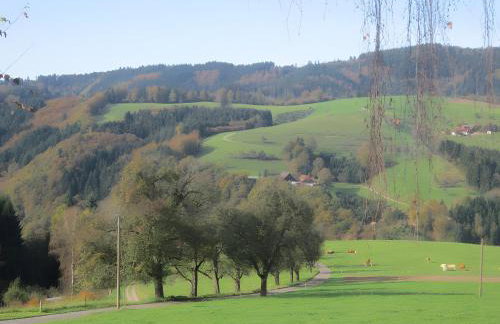 Ferienhaus Hubhof - Foto 15