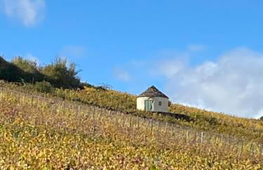 Coeur de Pommard - Foto 34