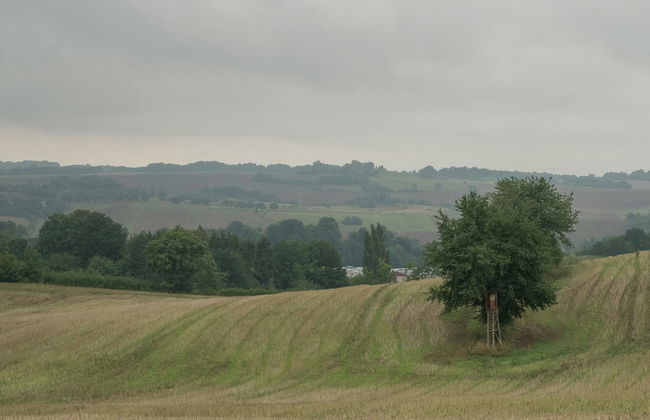 Luxurious Bungalow in Neustadt Harz With Private Terrace - Foto 40