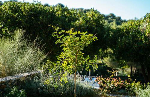 SPORTING PINAMARE - Foto 41