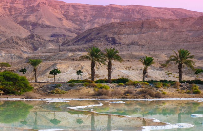 Tour di Gerusalemme e del Mar Morto - Foto 1