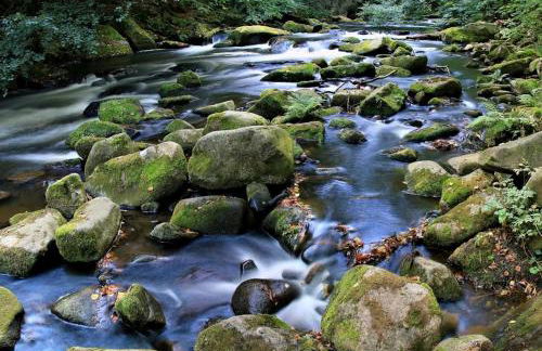 Ferienwohnungen Treseburg "Zur Bodehexe" - Foto 29