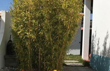 Santa Cruz Beach House - Foto 10