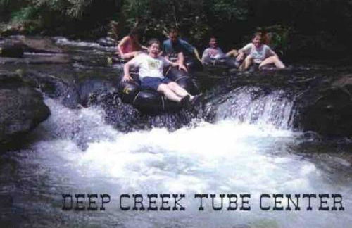 Red Roof-Cozy Cabin with Great Views, Hot Tub and near Bryson City - Foto 32