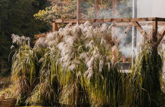 Okno na Beskidy - Foto 34