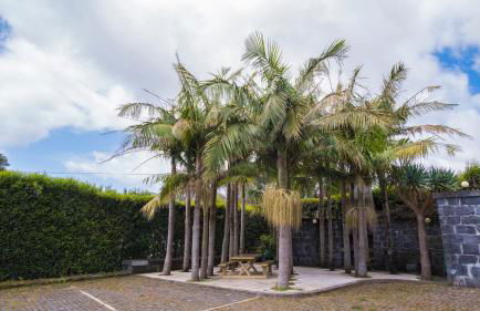 Quinta do Torcaz - Foto 5