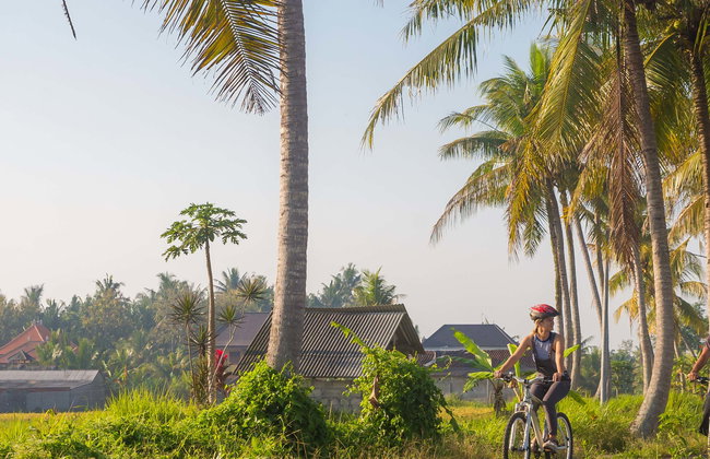 Balade à vélo à Ubud et Kintamani - Photo 1