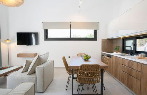 SEASCAPE VILLAS VASSILIKI - Beachfront villas - Foto 67