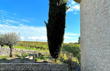 Domaine Coeur des Vignes - Foto 69