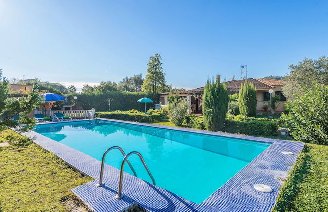 Hibiscus in Sa Pobla - Foto 29