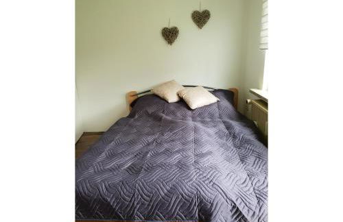 NEU! FeWo Harzfire mit Kamin - Foto 8