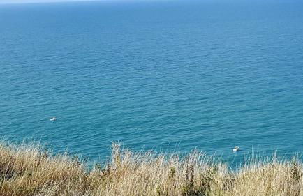 Aux Premières Loges - Foto 70