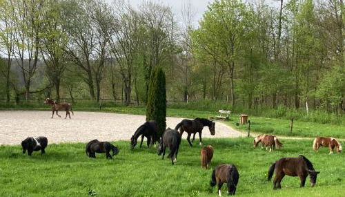 Ferienwohnung auf Pferdehof - Foto 3